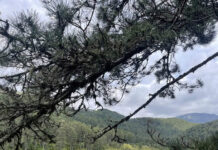 Ποιος φροντίζει όλα αυτά τα μονοπάτια που απολαμβάνουμε;