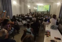 Μιχάλης Μιτζικός: Διεθνούς Φεστιβάλ κινηματογράφου “Κένταυρος”